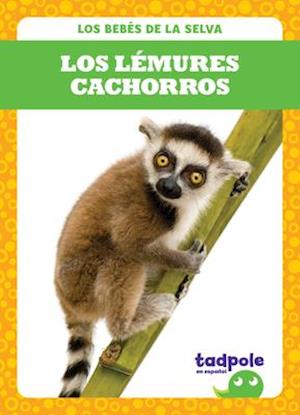 Los L&#x41c;(c)Mures Cachorros (Lemur Pups)