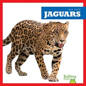 Jaguars