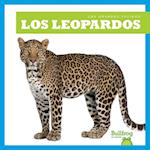 Los Leopardos (Leopards)