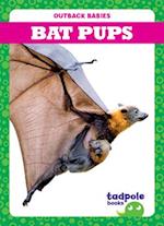Bat Pups