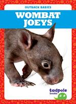 Wombat Joeys