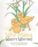 Why Mama Wasn't Worried 