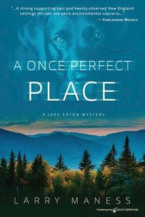 A Once Perfect Place