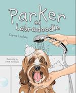 Parker the Labradoodle