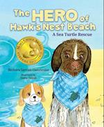The Hero of Hawk's Nest Beach