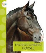 Thoroughbred Horses