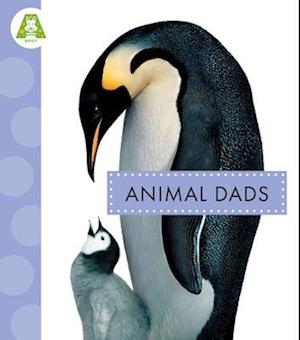 Animal Dads