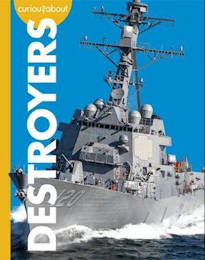 Curious about Destroyers