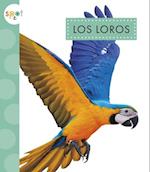 Los Loros