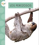 Los Perezosos