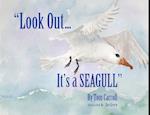 Look Out... It's a Seagull