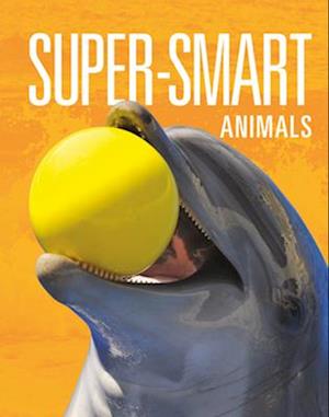 Super-Smart Animals