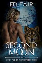 Second Moon: A Rejected Mate, Second Chance Paranormal Romance 