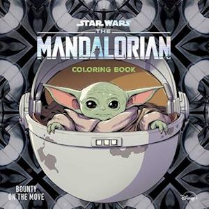 Star Wars the Mandalorian