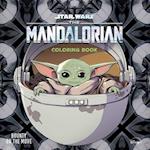 Star Wars the Mandalorian