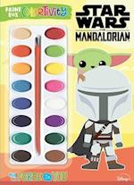 Star Wars the Mandalorian