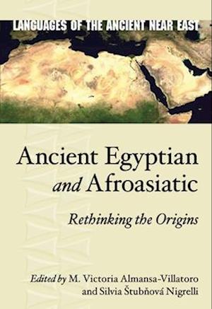 Ancient Egyptian and Afroasiatic