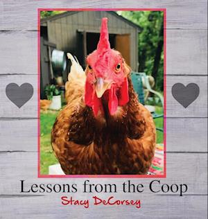 Lessons from the Coop