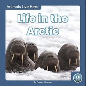 Life in the Arctic