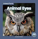 Animal Eyes