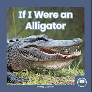 If I Were an Alligator