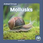 Mollusks