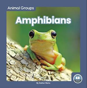 Amphibians