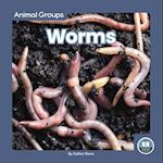 Worms