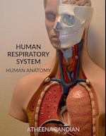 Human Respiratory System 