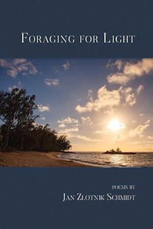 Foraging for Light