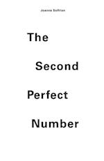 The Second Perfect Number