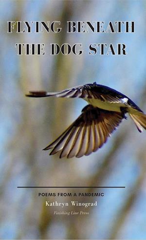 Flying Beneath the Dog Star