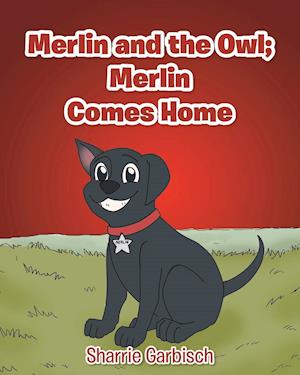 Merlin and the Owl