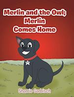 Merlin and the Owl: Merlin Comes Home 