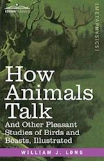 How Animals Talk