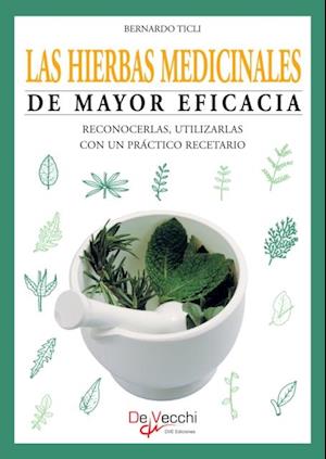 Las hierbas medicinales de mayor eficacia