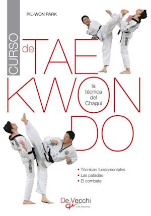 Curso de taekwondo