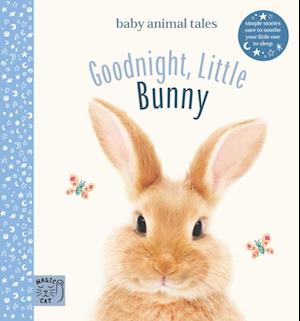 Goodnight, Little Bunny (UK)