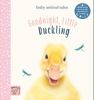 Goodnight, Little Duckling (UK)