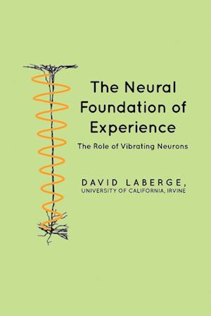 The Neural Foundation of Experience