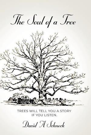 The Soul of a Tree
