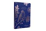 Jane Austen: Indulge Your Imagination Hardcover Ruled Journal