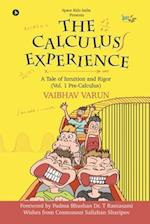 The Calculus Experience: A tale of Intuition and Rigor (Vol. 1 Pre-Calculus) 