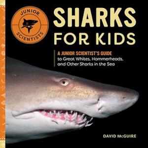 Sharks for Kids