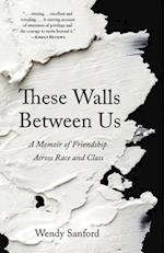 These Walls Between Us : A Memoir of Friendship Across Race and Class 