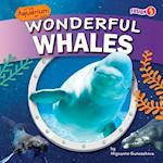 Wonderful Whales