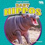 Baby Hippos