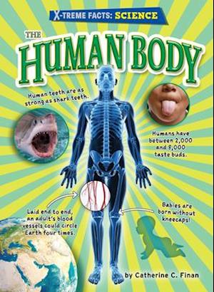 The Human Body