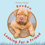 Booboo Looking for a Friend 