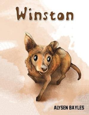 Winston